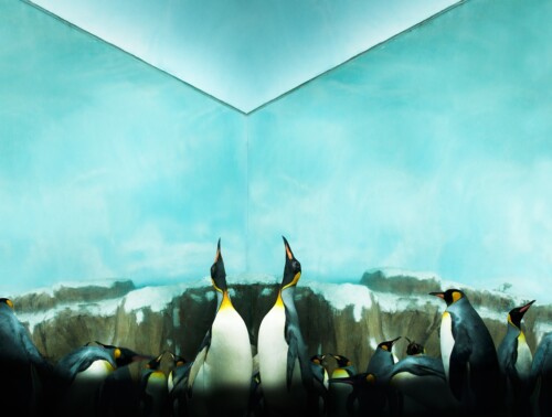 Title: Untitled (Mirror).<br />
2013<br />
30x40cm<br />
inkjet printDiasec (30mm) Monsters, Dark Mills & Angels
