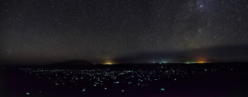 niittyvirta_constellation_final