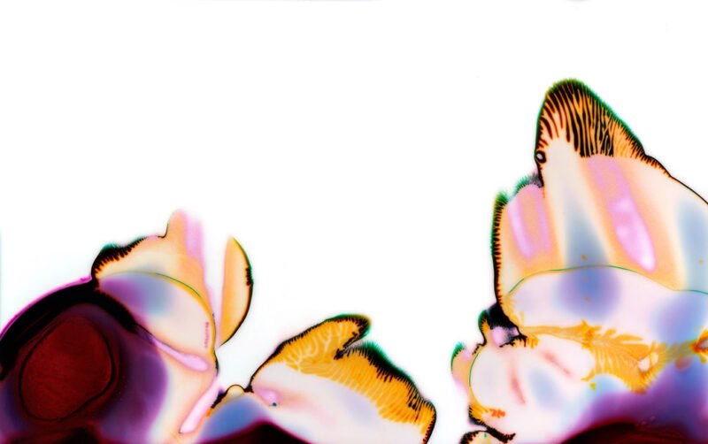 organic_003