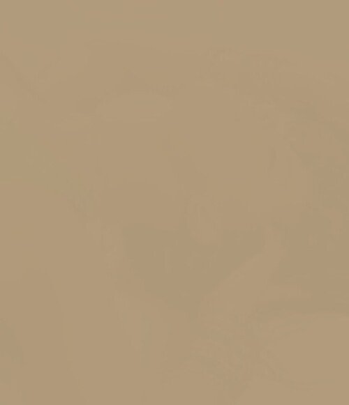 Spam Works