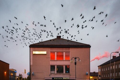 (untitled) Birds<br>2014<br>60x40cm<br>Inkjet print, Framed