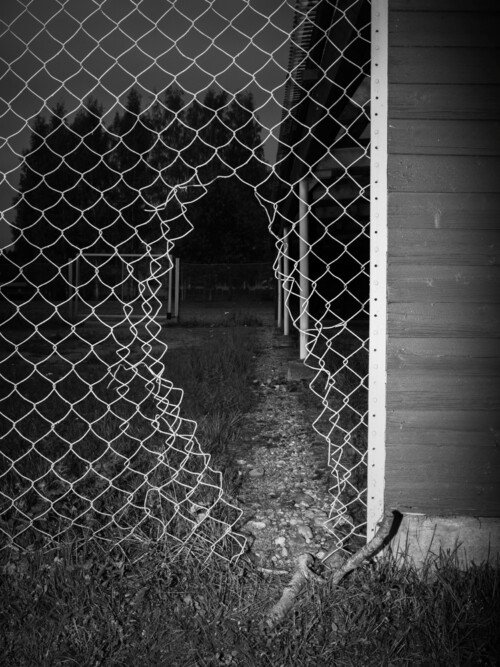 web_fence_75x10(untitled) Fence<br>2014<br>75x100cm<br>Inkjet print, Framed0_PNN9039