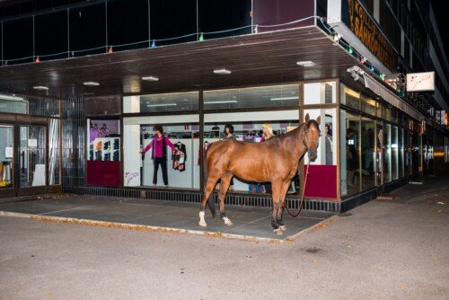 (untitled) Horse<br>2014<br>75x50cm<br>Inkjet print, Framed