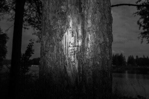 (untitled) Tree Writing<br>2014<br>30x20cm<br>Inkjet print, Framed