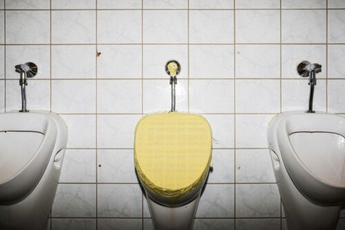 (untitled) Urinals<br>2014<br>30x20cm<br>Inkjet print, Framed