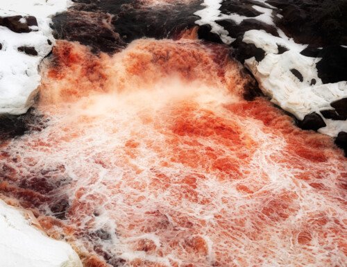 Untitled (Red Fall) 2018 100x130cm Inkjet print mounted on aluminium, framed, museum glass
